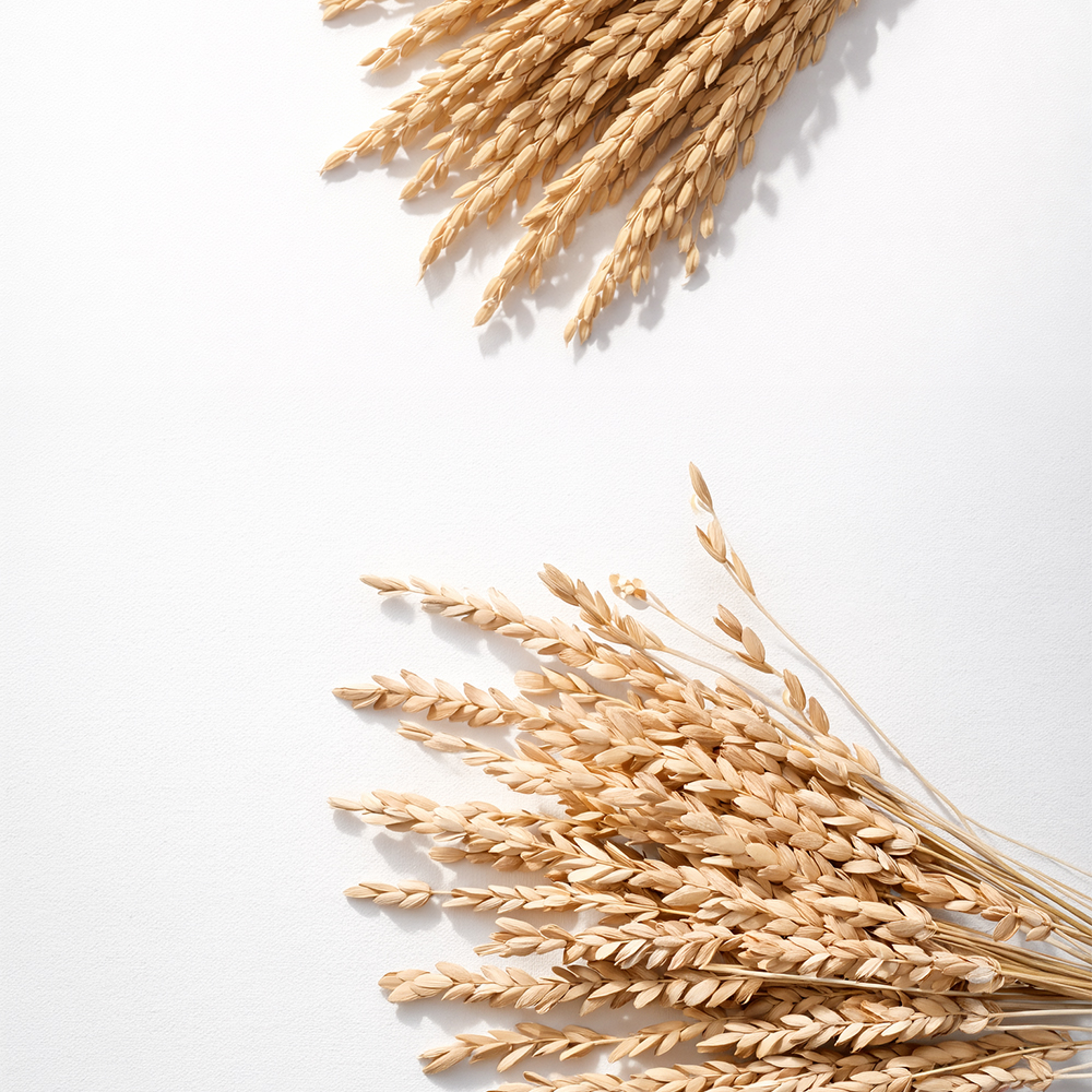 Biorex-Rice Bran