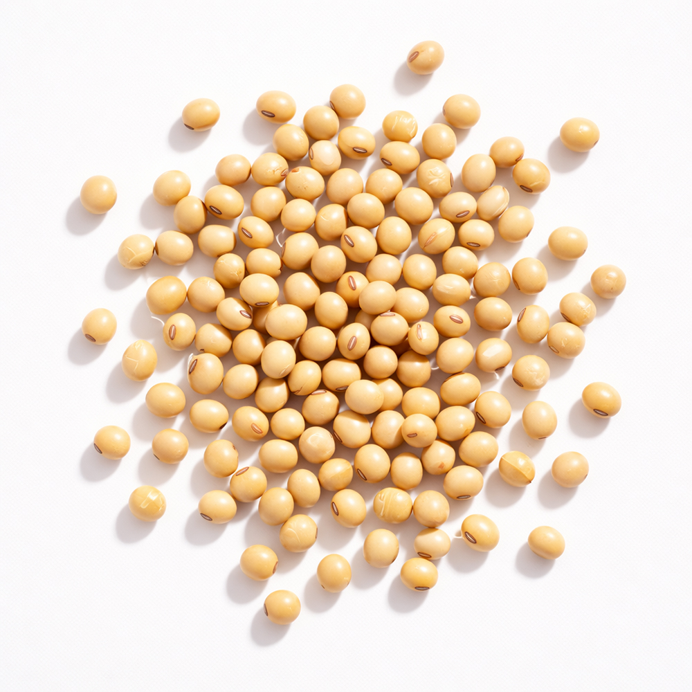 Brightening Jeju Bean Peptide